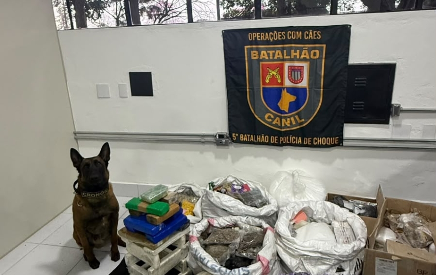 Reincidente é preso com quase meia tonelada de maconha no interior de SP