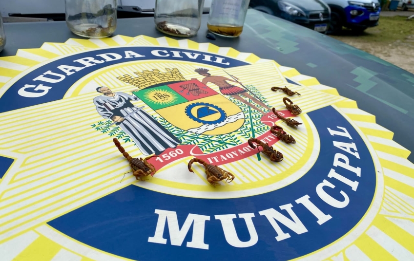 Itaquá faz alerta sobre cuidados com escorpiões