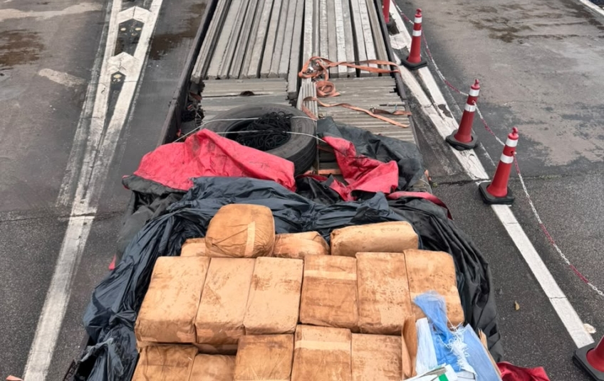 PM Rodoviária apreende quase 1 tonelada de maconha escondida em caminhão no interior de SP