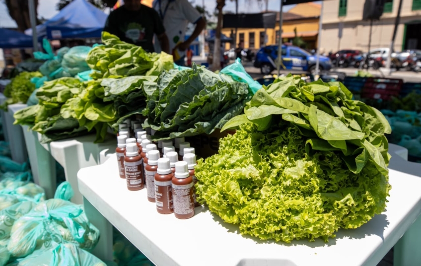 Dia Mundial da Alimentação mobiliza Itaquá com ações de conscientização e distribuição de alimentos nesta sexta (16)