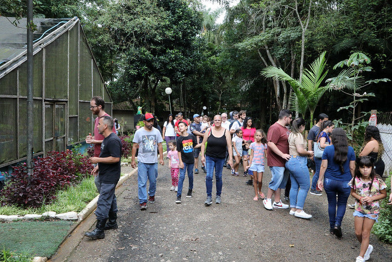 Tem Abelha no Meu Jardim será neste domingo no Borboletário de Diadema