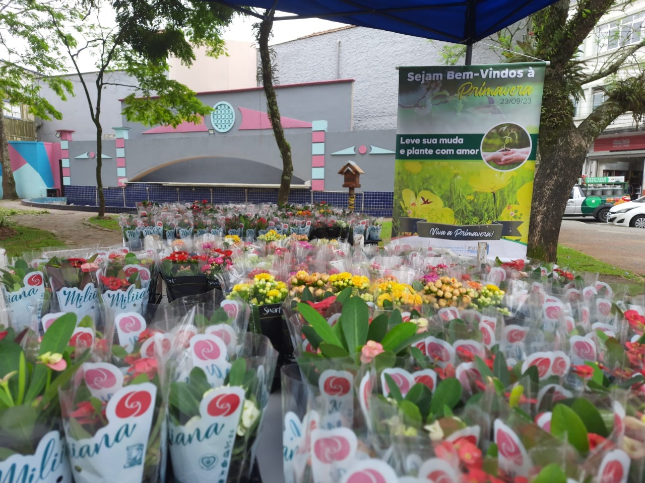 PREFEITURA DE RIBEIRÃO PIRES PROMOVE DOAÇÃO DE MUDAS NO ESPETACULAR DIA DAS CRIANÇAS