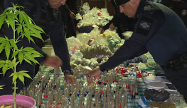 GCM apreende 45,5 kg de entorpecentes na Vila Rio de Janeiro
