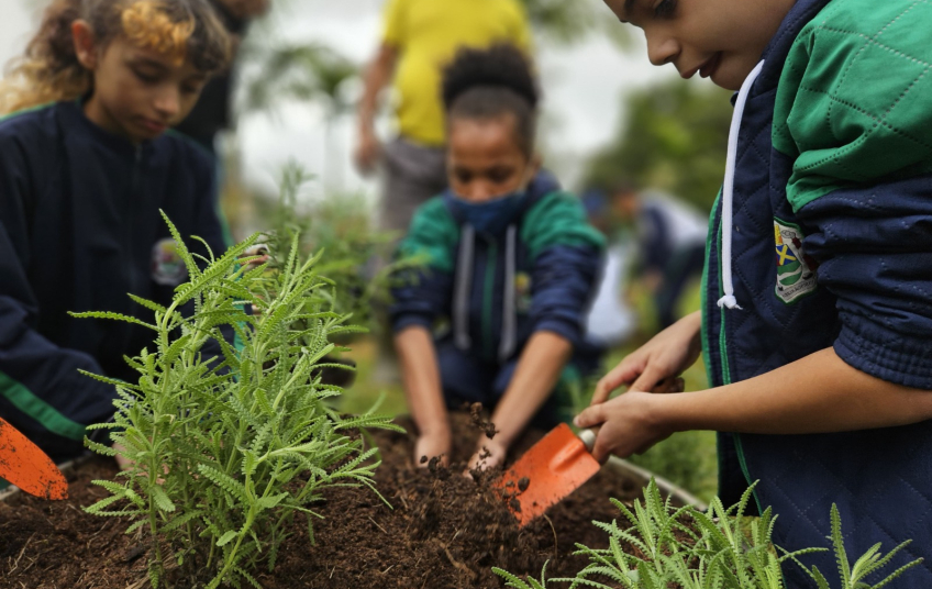 Ribeirão Pires promove programação especial no Junho Verde com ações de educação ambiental e bem-estar animal