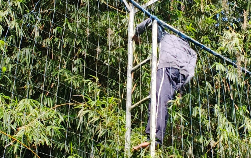 CRIMINOSO TENTA FURTAR FIOS E CÂMERAS EM POSTE, MAS É DETIDO POR POLICIAIS MILITARES