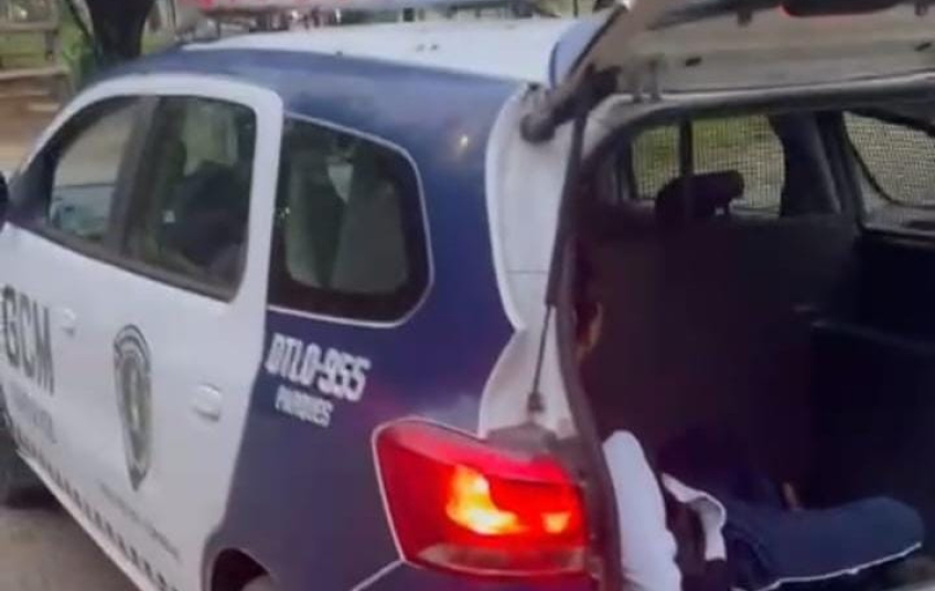 GCM prende homem por furto de dois celulares no Parque Renato Maia