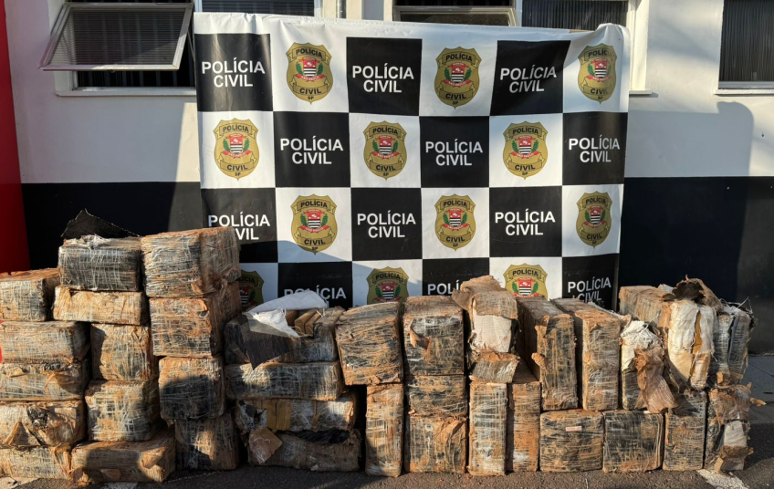 Polícia Civil encontra poço que escondia quase 1 tonelada de maconha no interior de SP