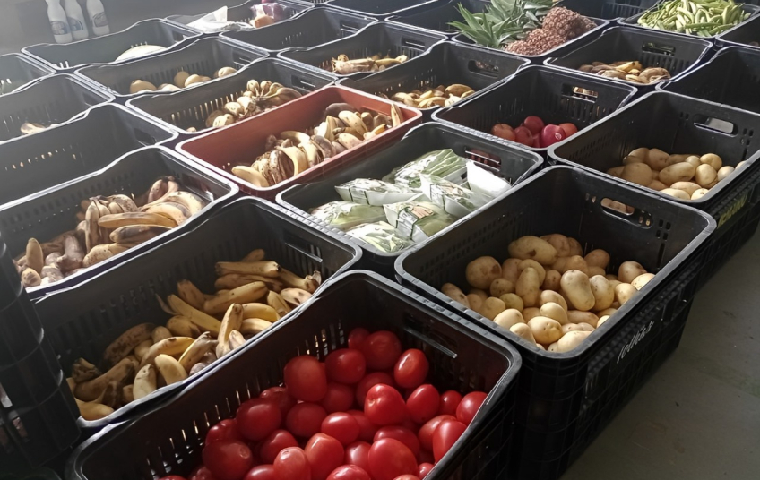 Fundo Social de Solidariedade de Ribeirão Pires distribui mais de 60 toneladas de alimentos no primeiro semestre de 2025