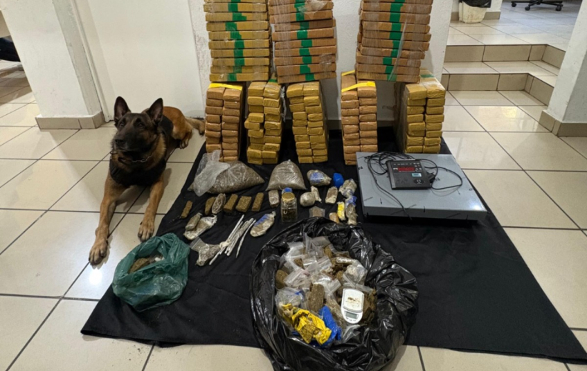 Cão farejador encontra 170 kg de drogas em São Paulo
