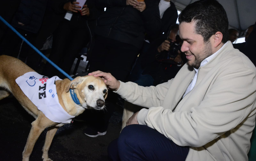 Santo André lança programa que facilita a adoção responsável e incentiva o voluntariado em prol dos animais