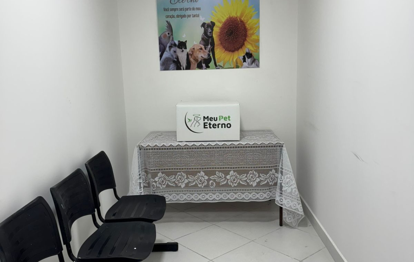 Pet Eterno: Rio Grande da Serra inaugura serviço inédito de despedida para animais de estimação
