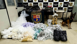 Cão da PM descobre casa com fuzil e 140 quilos de drogas em SP
