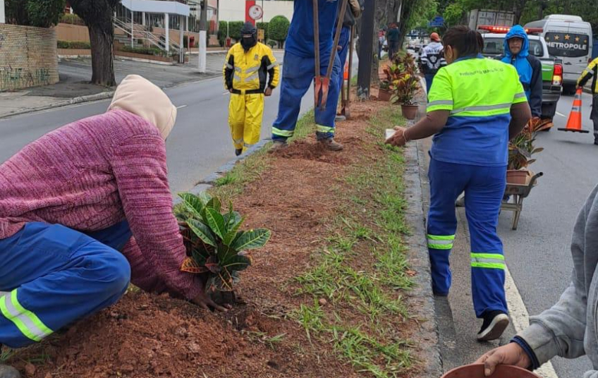 Compensação ambiental no Jardim Itaussu amplia cobertura verde em Mauá