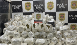 Mais de 130 kg de ‘super maconha’ são apreendidos em ação policial na zona norte de SP