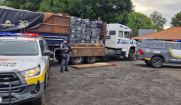 Motorista é preso em Palmital com quase duas toneladas de maconha em carga de madeira