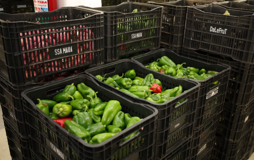 Mauá realiza oficina da 'Estratégia Alimenta Cidades' para fortalecer políticas de segurança alimentar