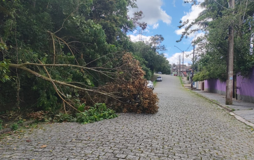 Prefeitura reforça pronta-resposta após chuvas e ventos intensos em Ribeirão Pires