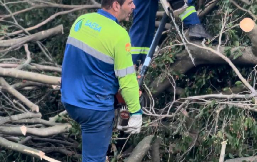 Após ventania, força-tarefa da Prefeitura de São Caetano garante retomada dos serviços na cidade