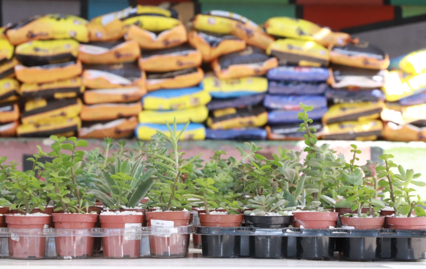 Prefeitura de Ribeirão Pires distribui mais de três toneladas de ração a protetores e animais em vulnerabilidade