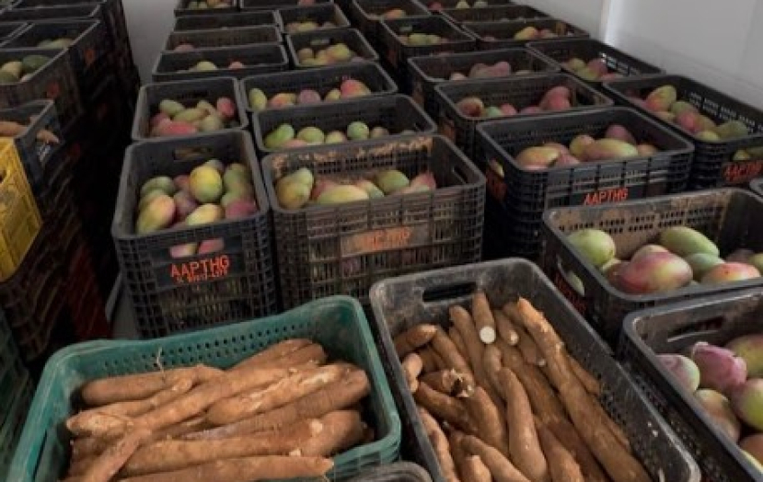 Entidades sociais de São Bernardo recebem 1 tonelada de hortifrútis do Banco de Alimentos Municipal