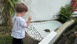 Crianças aprendem sobre cuidado e respeito aos animais com tartaruga mascote